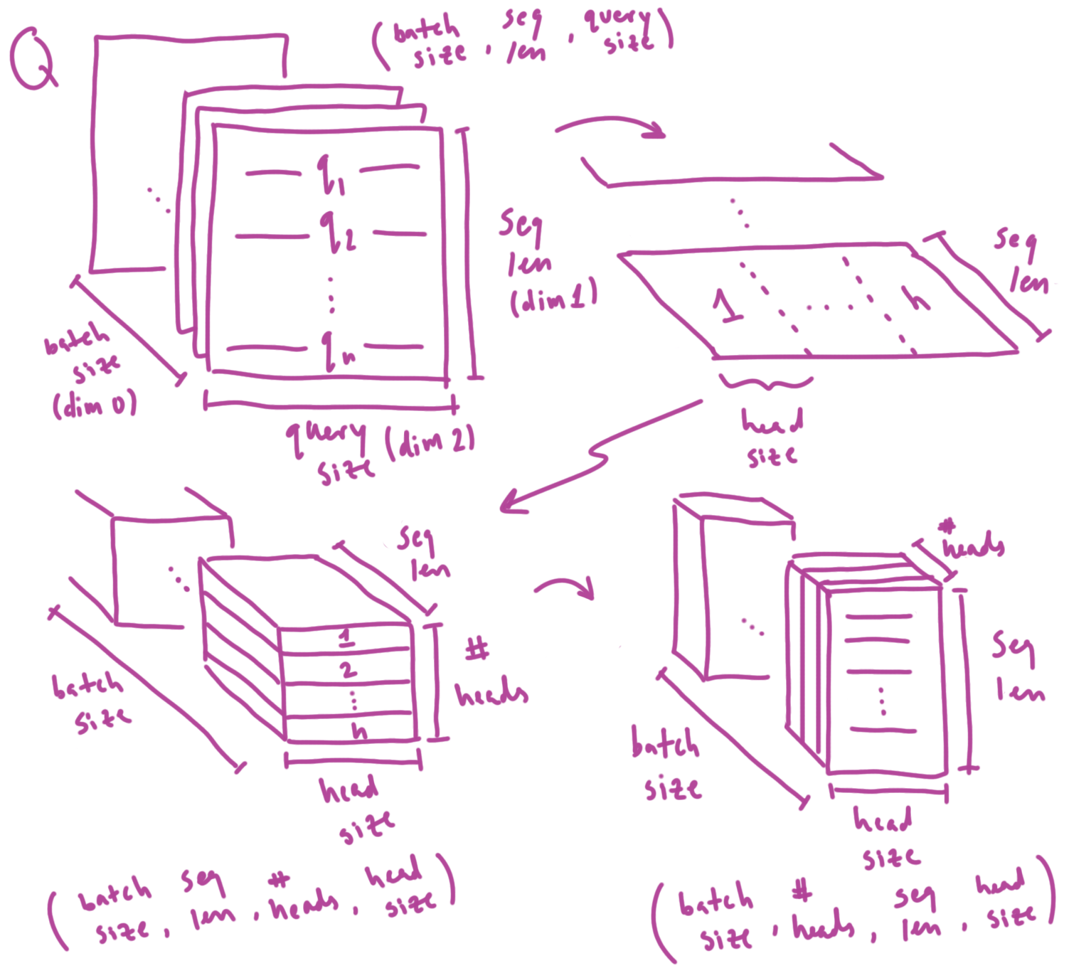 Splitting query matrix into multiple attention heads (same process is performed for K and V)